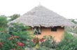 Kia Lodge
