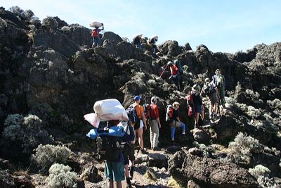 Kili Trek