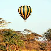 balloon safari